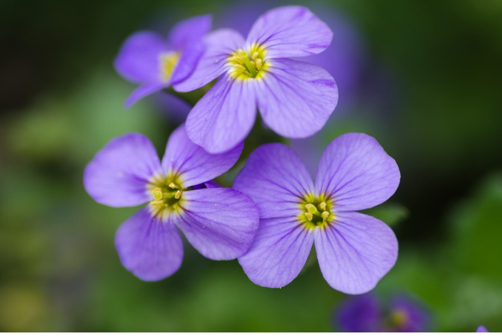 Screen Shot 2019-02-09 at 12.05.35 PM.png