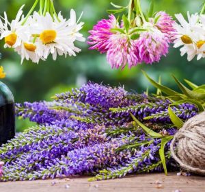 89939826_10222523912146071_1195845828669865984_n